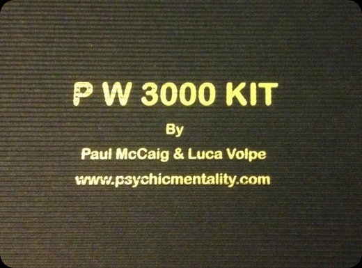 P W 3000 Pocket Writer by Paul McCaig and Luca Volpe. SOLD OUT!
